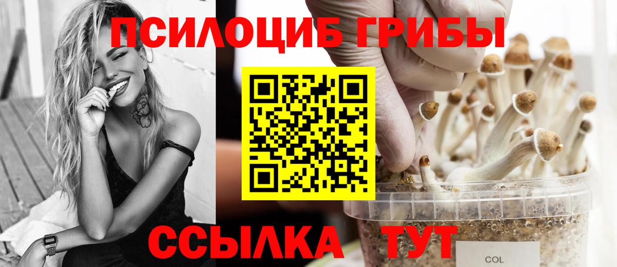 Псилоцибиновые грибы Cubensis Рославль